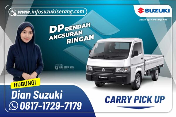 CARRY PICK UP